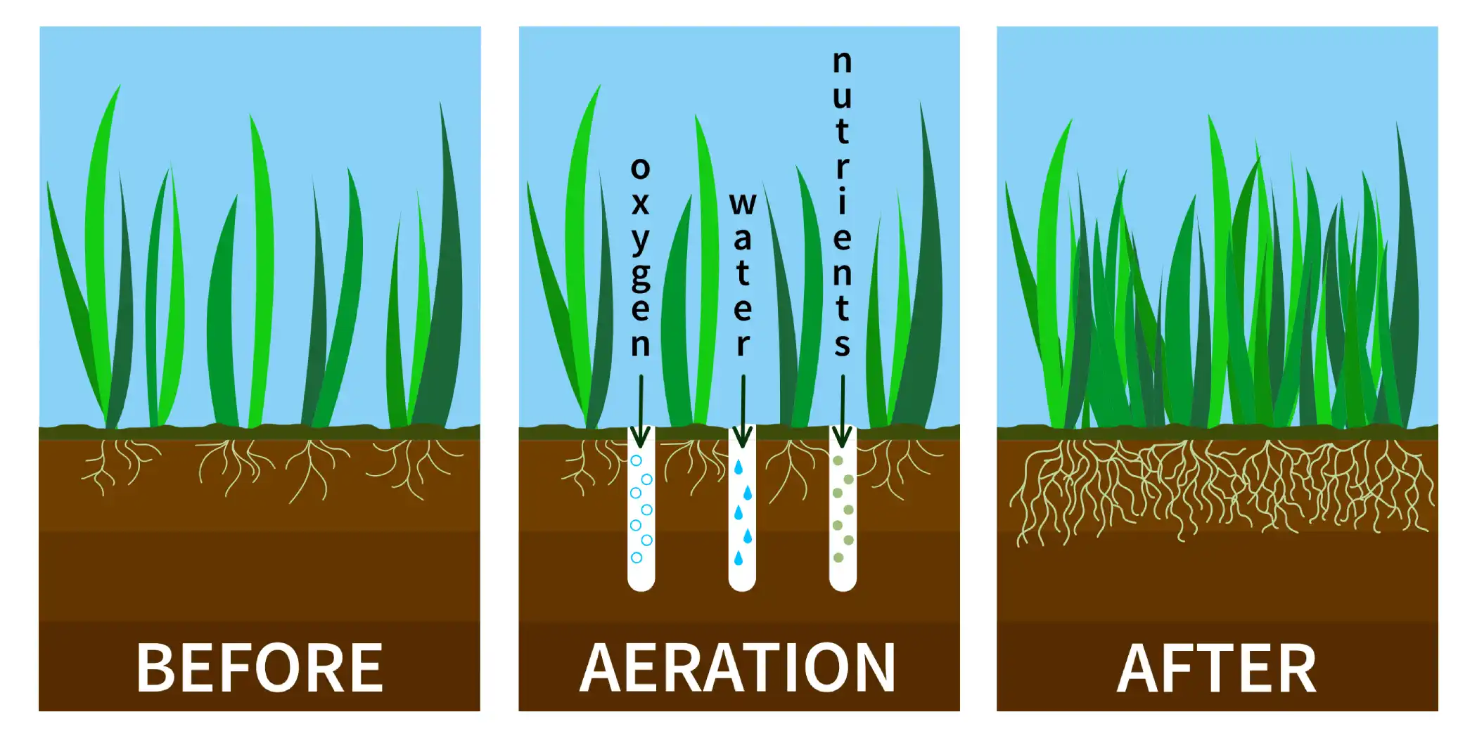 what aeration does for utah lawns
